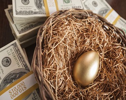 Golden Egg in Nest with Thousands of Dollars on Table.